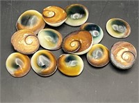 Crystal, Natural, Jewelry, Lapidary, Cat's Eye
