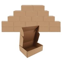 WF6967  EYMPEU 12x9x4 Shipping Boxes, Set of 20