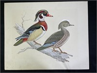 Original Wood Ducks Oil Painting - Unsigned