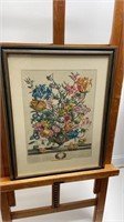 April “Flowers of the Month” by Robert Furber