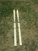 old Treviso CC skis
