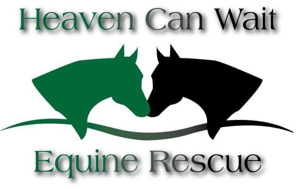 Heaven Can Wait Equine Rescue Auction Oct 2023