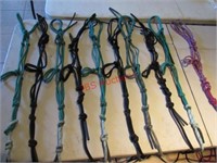 10-Rope Halters