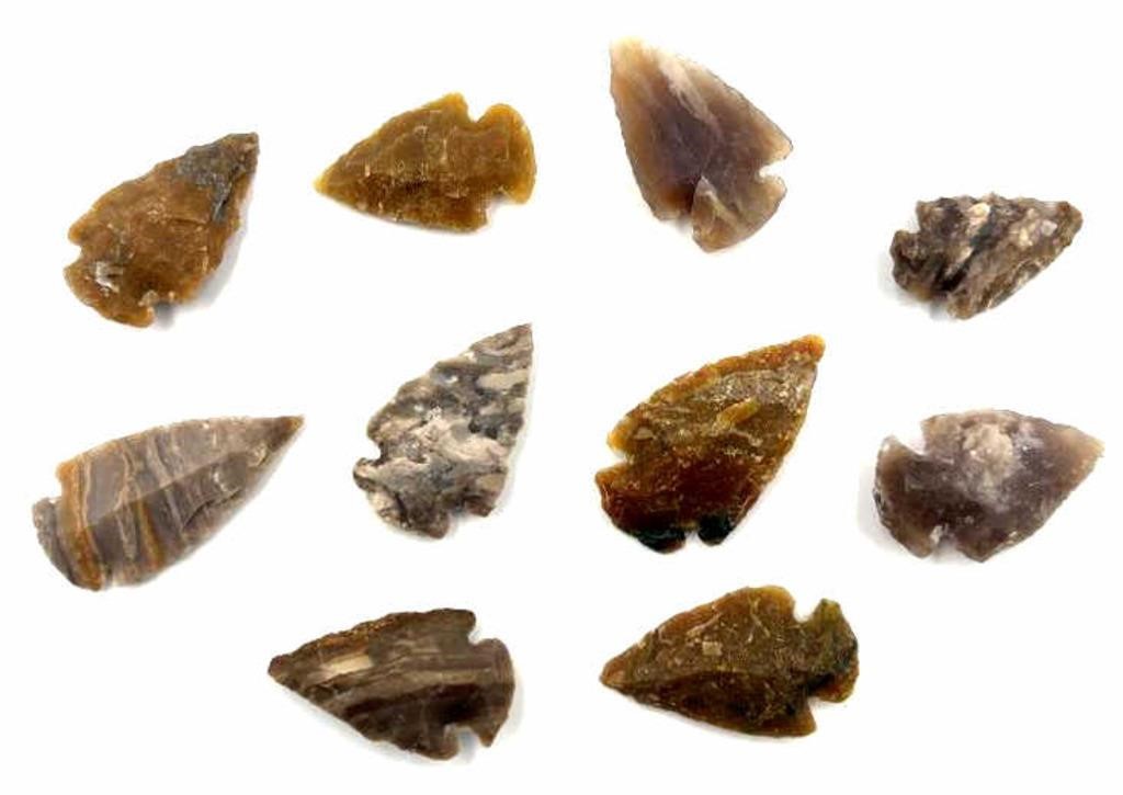 10) Native American Arrowheads (1in - 1.5in)