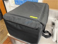 INSULATED FOOD TAKE-OUT DELIVERY BAG