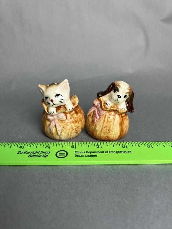 Salt And Pepper Shaker #6