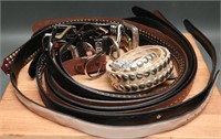 Ladies Leather Belts- Fossil + (10)