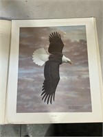 WM Zimmerman 'Soaring Eagle' Print 1979