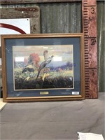 Double Trouble -Pheasant framed print