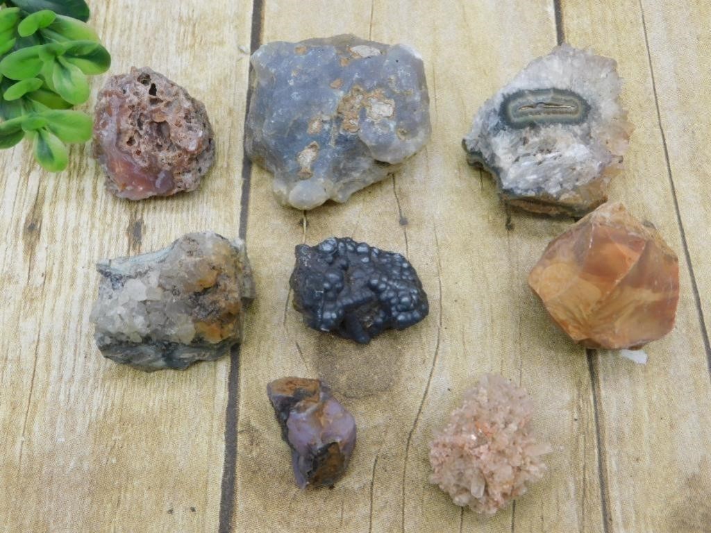 MEMORIAL DAY ROCK AUCTION! GEMS, CRYSTALS, FOSSILS, JEWELRY,