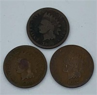 (3) Indian Head Pennies