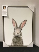New Framed Rabbit Canvas Picture