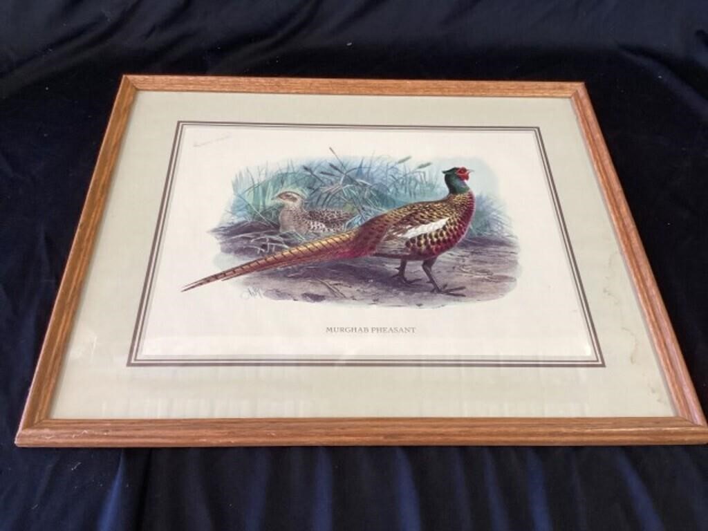 Framed Pheasant print