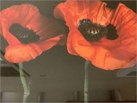 Modern framed art Poppies 23"x19"