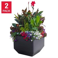 $210 - 2-Pk Versa (16 in.) Square Self-Watering