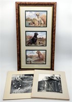 Labrador Retriever Print, Jerry Towe Photos