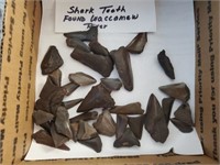 SHARKS TEETH FROM WACCAMAW RIVER