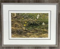 Framed Robert Bateman Print 'Mowed Meadow'