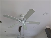 Pair of Ceiling Fans(kitchen)