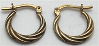 Silver Gold Tone Hoop Earrings