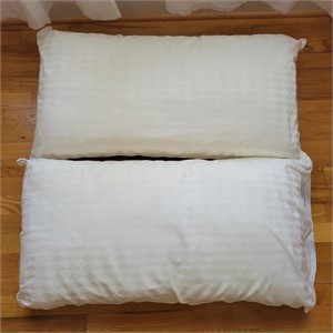 (2) Sateen Pillows w/Pillow Cases 36"L 20"W