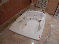 Large Jacuzzi Tub with Bronze Faucets