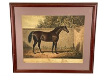 Emilius Thoroughbred Horse Print