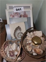 BASKETS OF SEA SHELLS & RELATED WALL DECOR