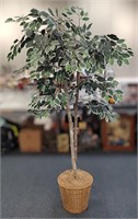 6' Tall Artificial Ficus Tree in Wicker Planter