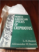 North American Species Of Crepidotus $140