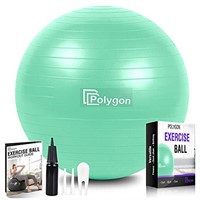 Polygon Exercise Ball, Professional Grade