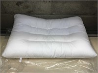 Pillow 27.5"x16"