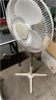 Fan