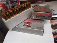 243 Win 100 gr  40 rds