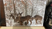 Scenic Deer Photo