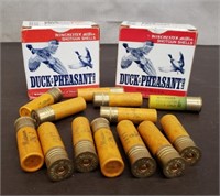 33 Rounds Winchester 20 Gauge Duck & Pheasant
