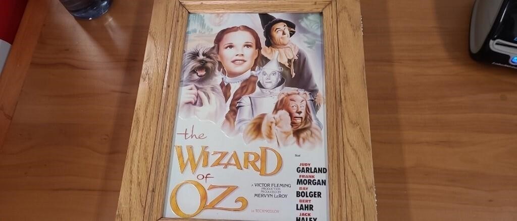 Wizard of Oz Case