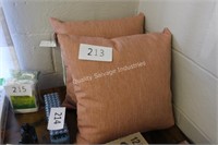 2- outdoor pillows