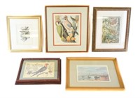 Grouping of Ornithological, Insect, Scenic Art