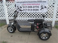 Electric 3-Wheel Scooter