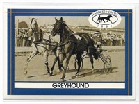 Greyhound Harness Heroes card