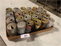 (24) Assorted Beer Cans