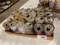 (24) Assorted Beer Cans