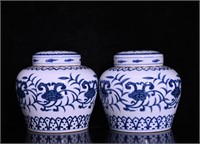 Chinese blue and white porcelain jar pair