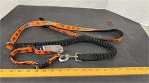 BC Lions Stretchy Dog Leash with Collar