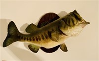 Largemouth Bass Taxidermy