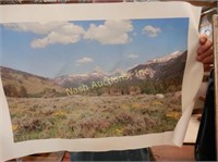 mountain scene on canvas