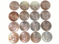 (16) 2014 U. S. Silver Eagle Dollar Coins
