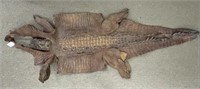 Full Body Taned Leather Alligator Hide