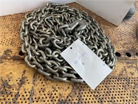 Chain - Approx 25'